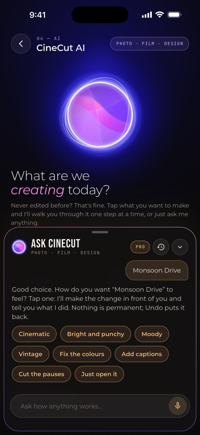 CineCut AI asking how the video should feel, with style choices