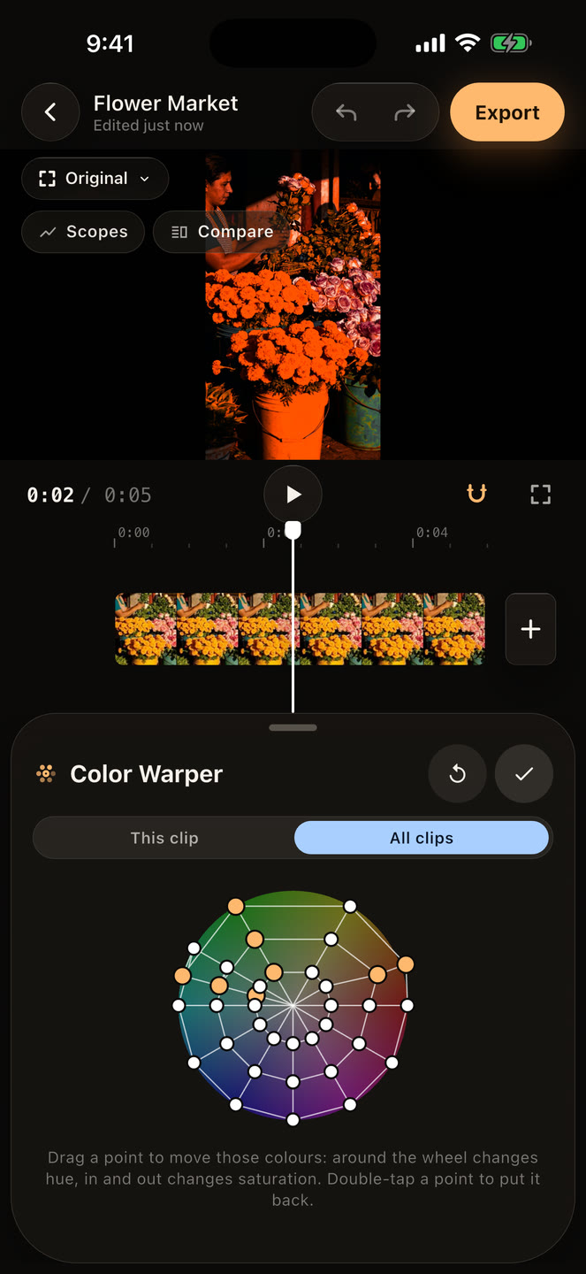 The Color Warper mesh