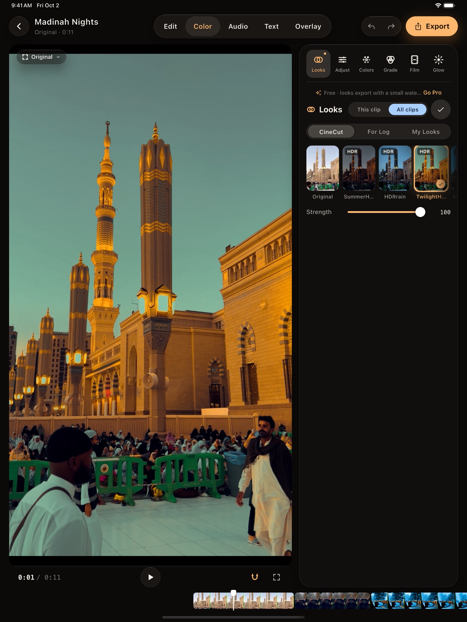 CineCut on iPad with the Looks panel